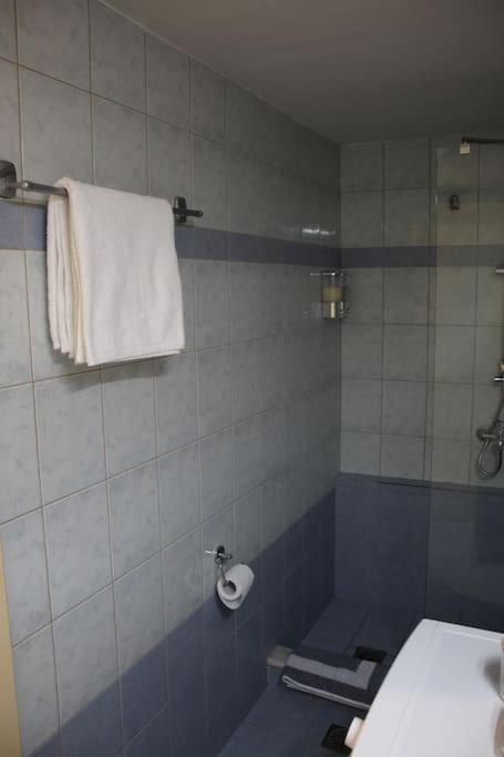 Aphrodite Apartment 干尼亞 外观 照片